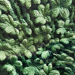 Blanket - St. Patrick’s Day - Crochet Dark Green Clovers